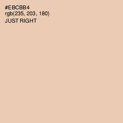 #EBCBB4 - Just Right Color Image